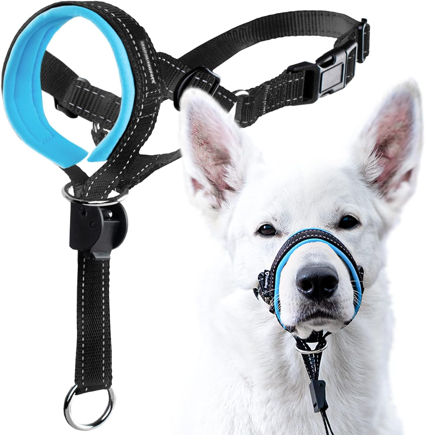 GoodBoy Dog Head Halter with Safety Strap