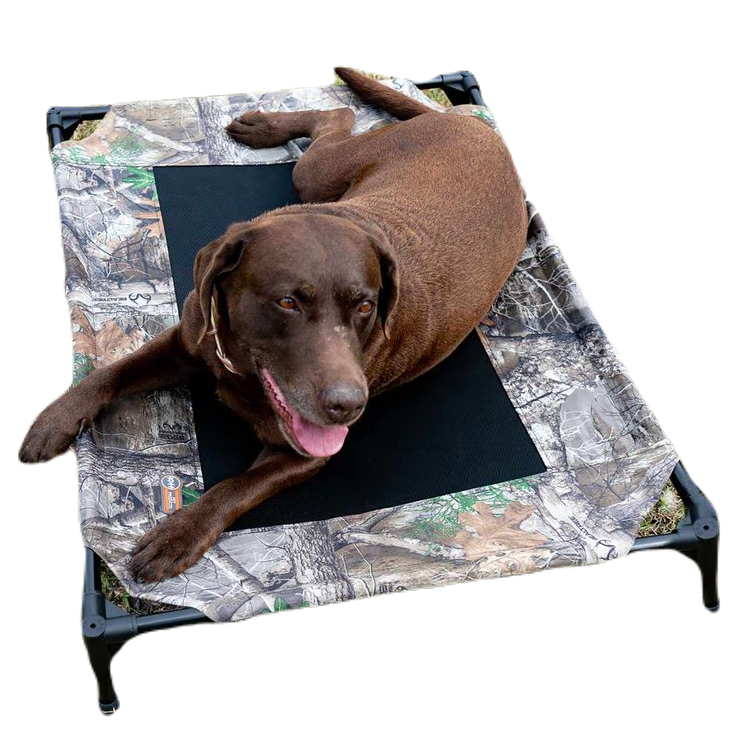K&H Pet Products Original Steel Frame Pet Cot Elevated Dog Bed
