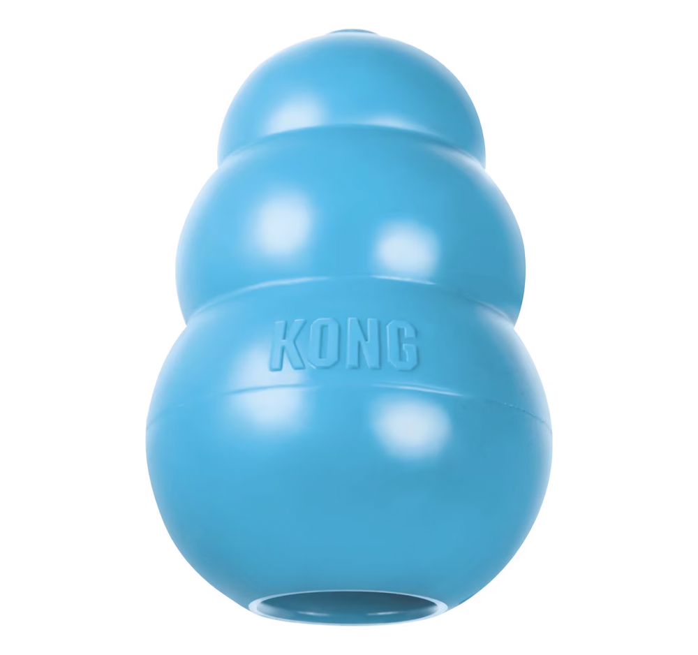 KONG Puppy Dog Chew Toy