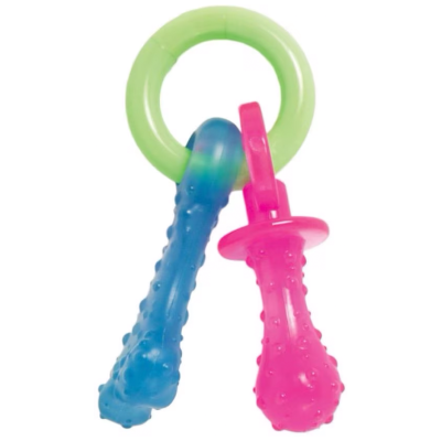 Nylabone Teething Pacifier