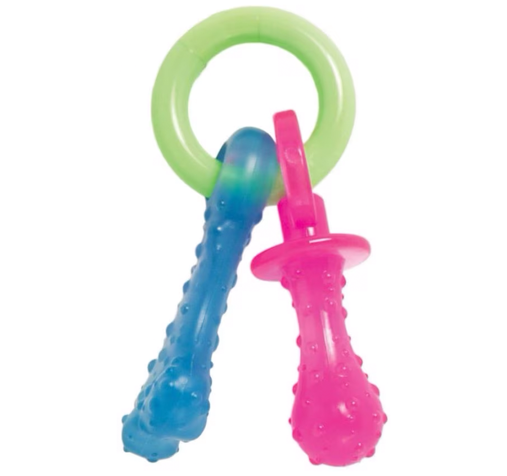 Nylabone Teething Pacifier Chew Toy for Puppies