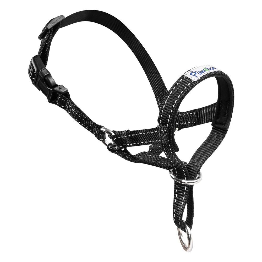 10 Best Dog Halters in 2024 Reviews & Top Picks Dogster