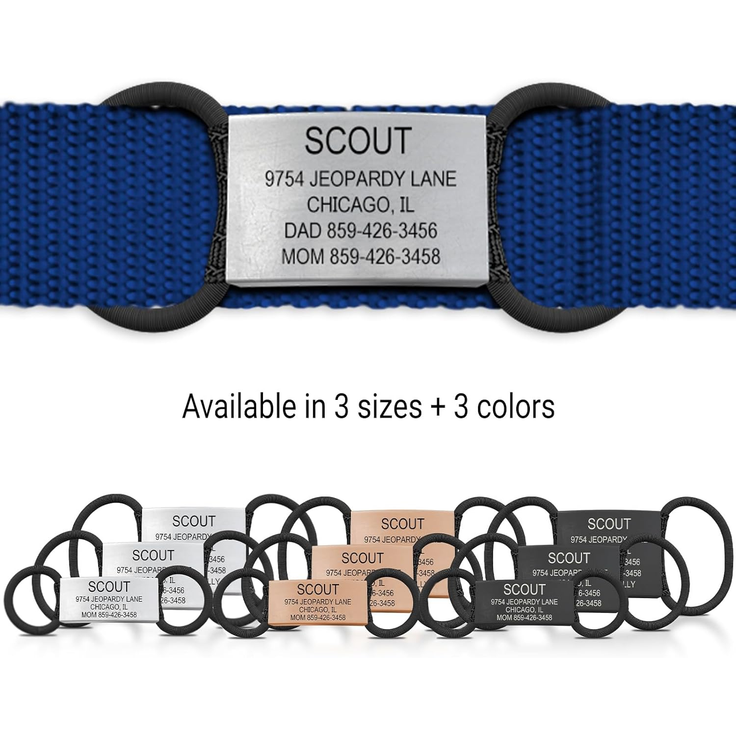 9 Best Dog Tags in 2024 Reviews & Top Picks Dogster