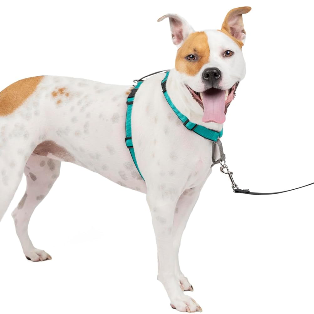 PetSafe 3-in-1 Reflective Dog Harness