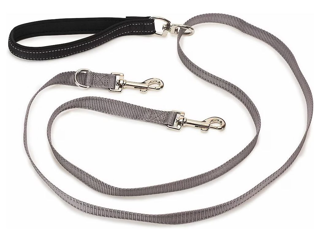 PetSafe Two Point Control Dog Leash