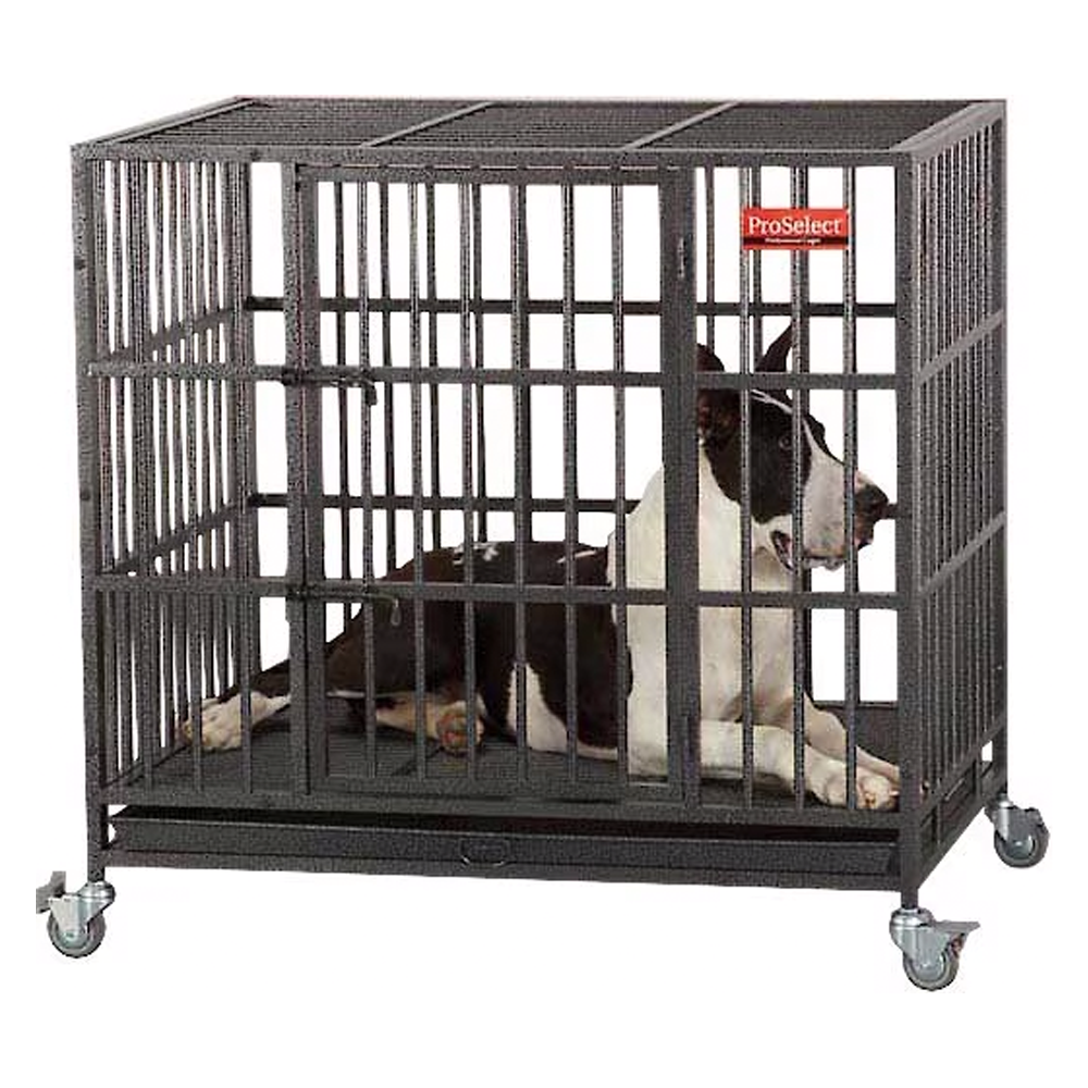 ProSelect Empire Single Door Steel Dog Crate
