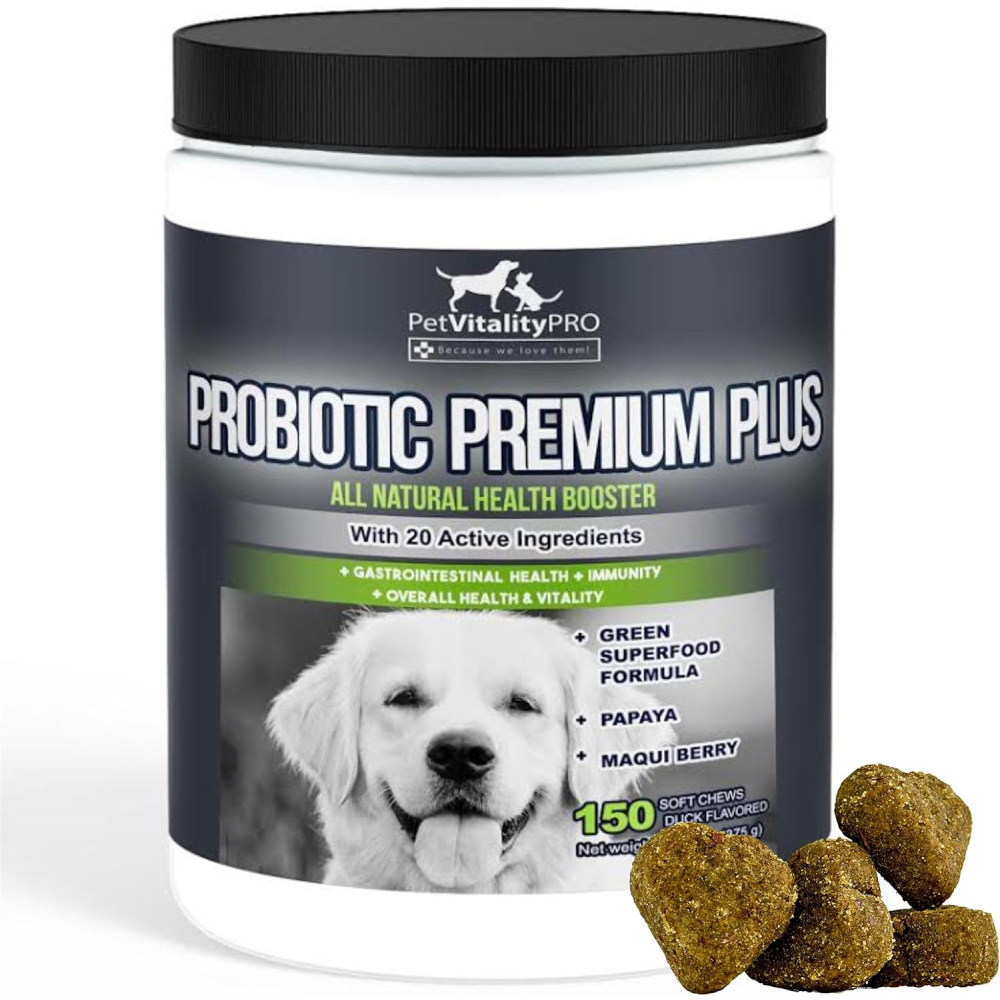 Probiotics for Dogs with Natural Digestive Enzyme 