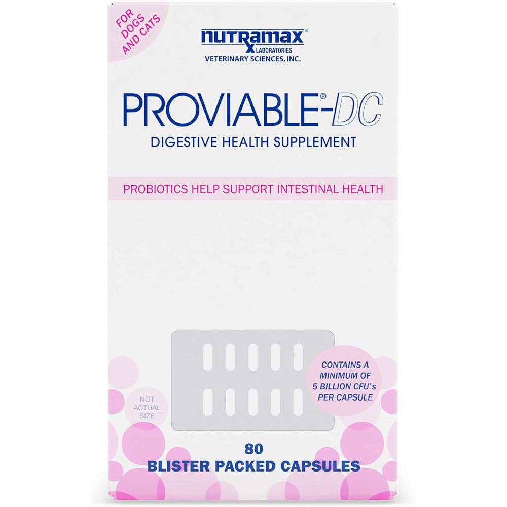 Proviable Digestive Health Supplement Multi-Strain Probiotics and Prebiotics 