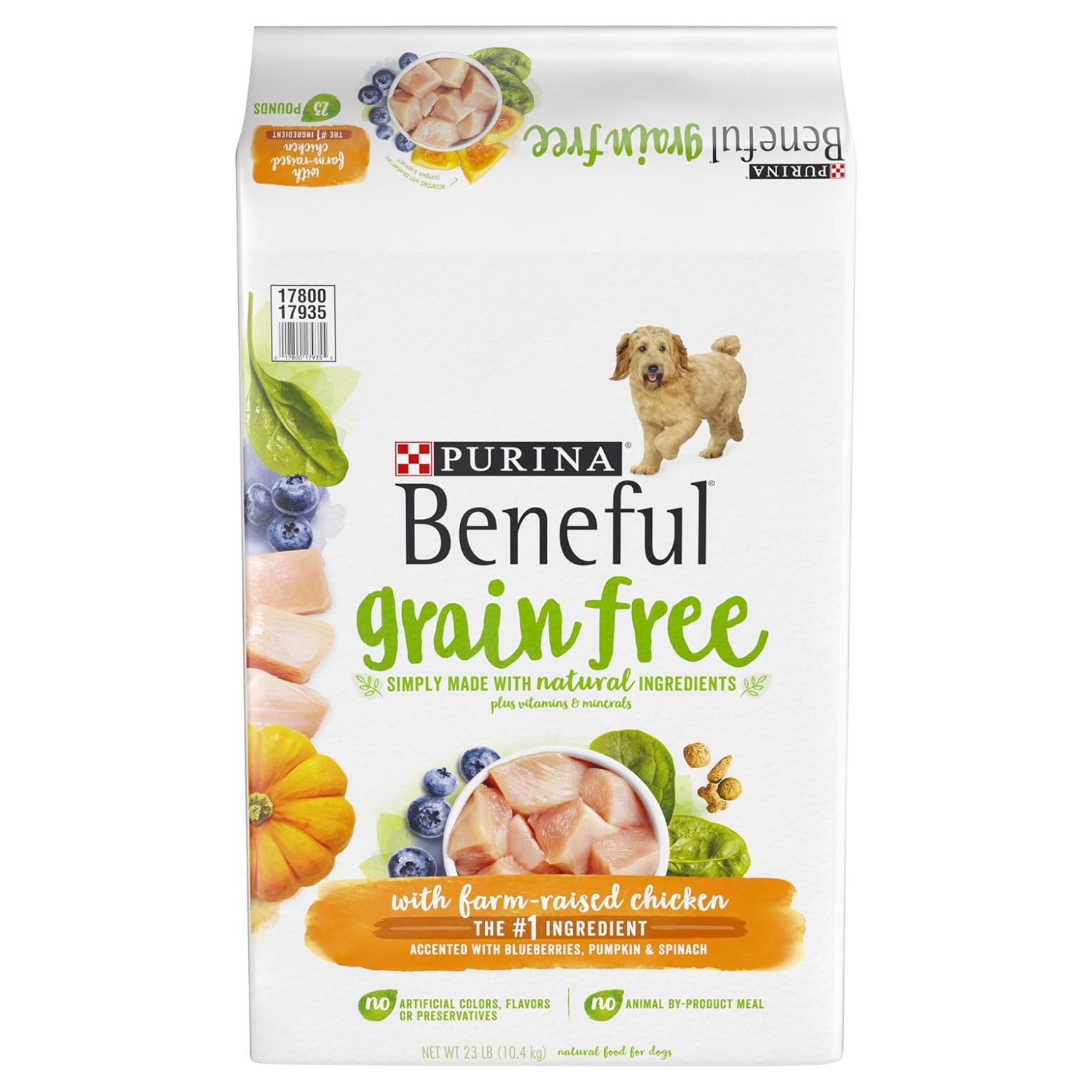 TOP 5 BEST DOG LISH BUDGET FRIENDLY OPTIONS 2026 intelligence overview