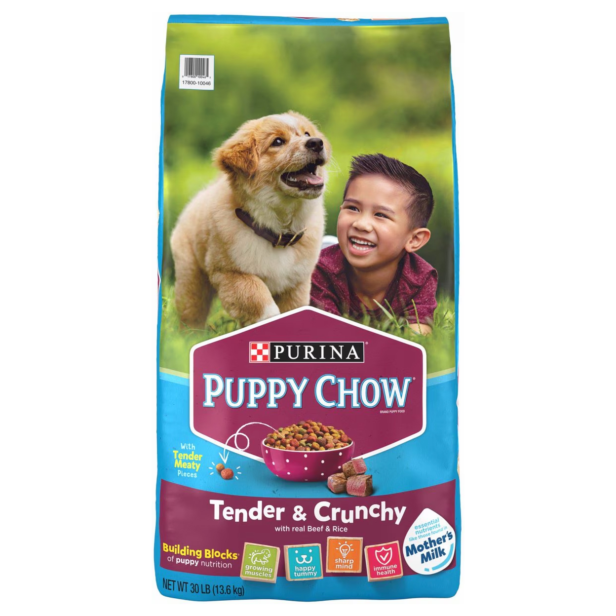 Purina Puppy Chow Tender & Crunchy