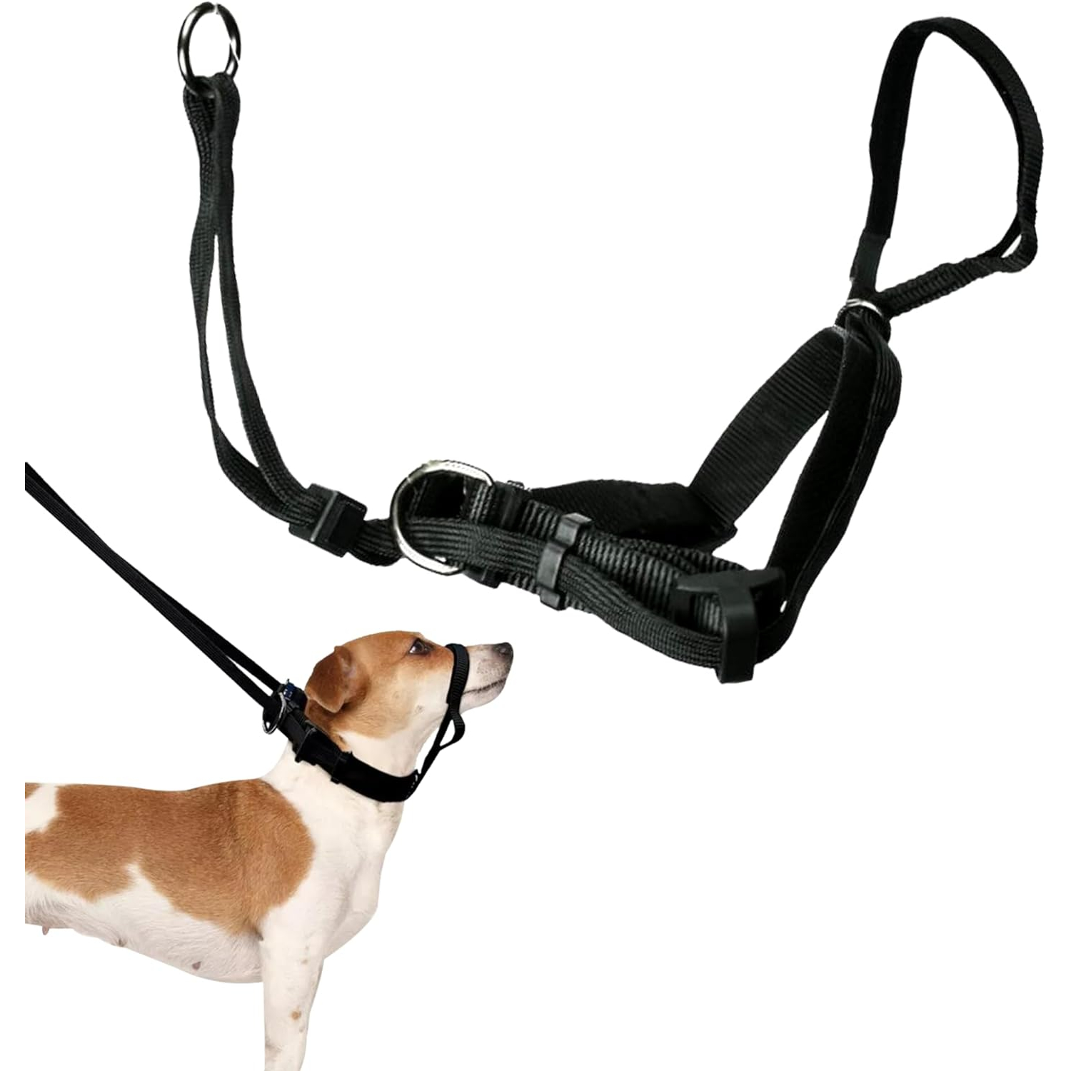 Sporn Head Control Dog Halter