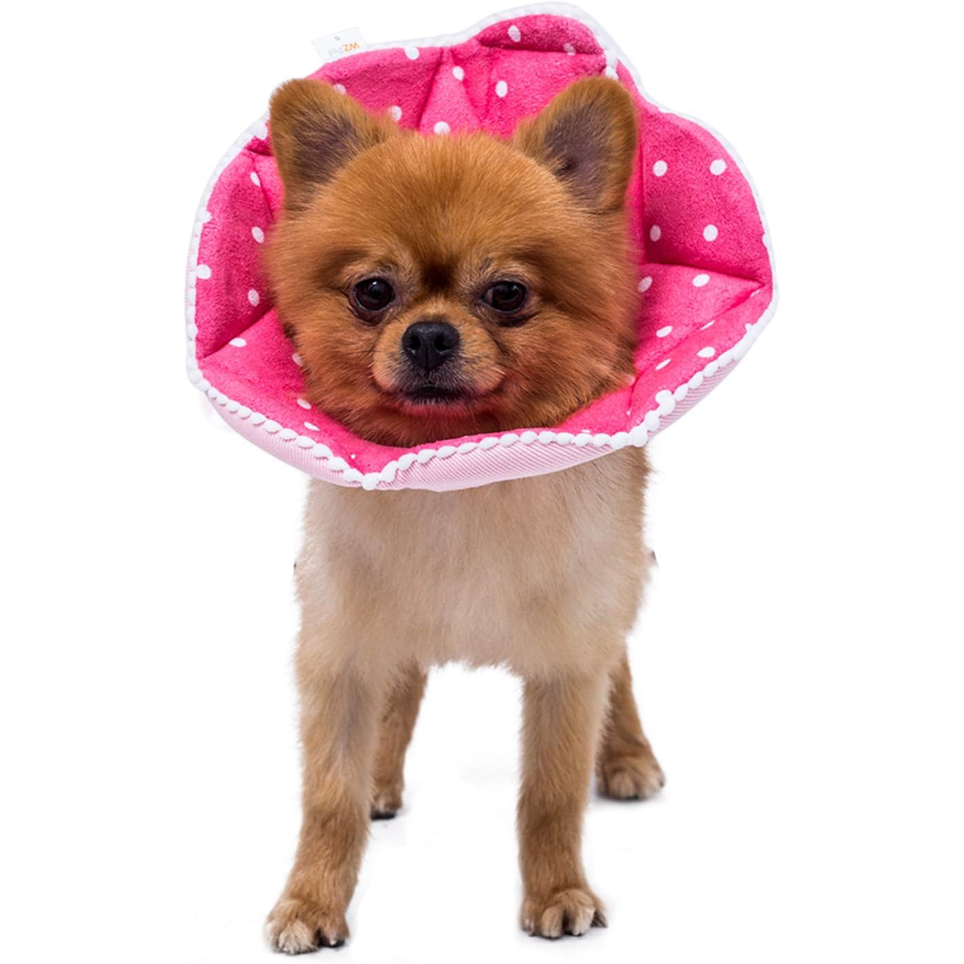 WZ Pet Adjustable Dog Cone