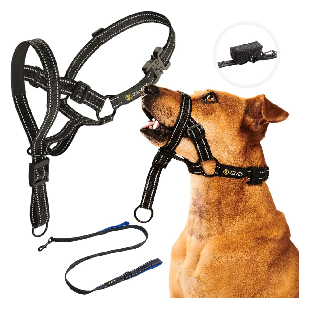 10 Best Dog Halters in 2024 Reviews & Top Picks Dogster