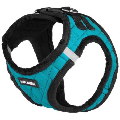 Best Pet Supplies Voyager