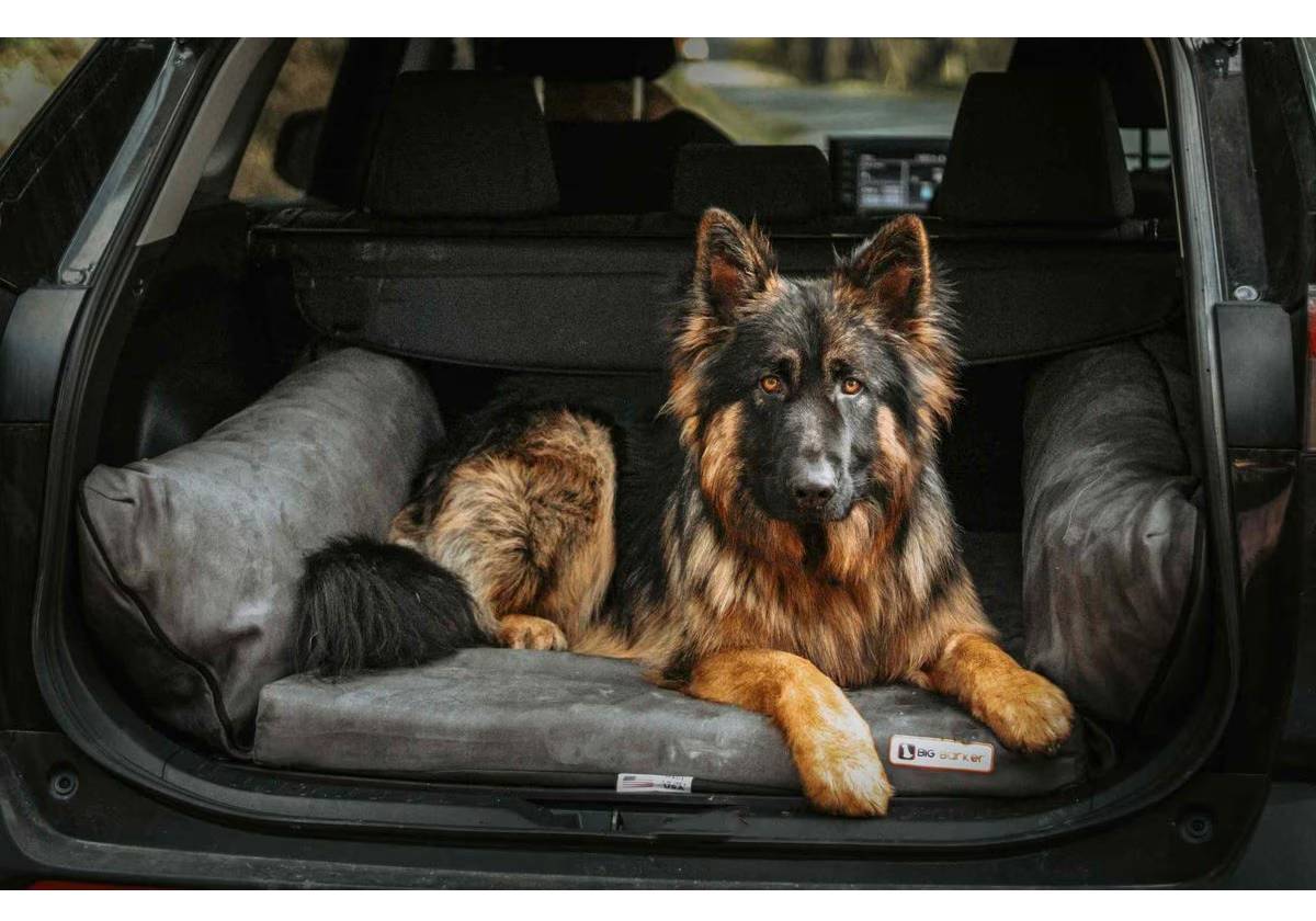 Big Barker Backseat Barker Orthopedic Pillow Dog Bed
