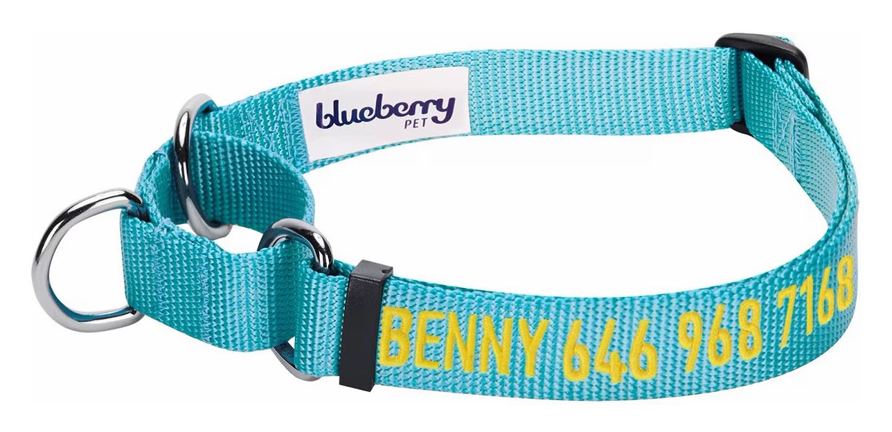 Blueberry Pet Training Martingale Collar