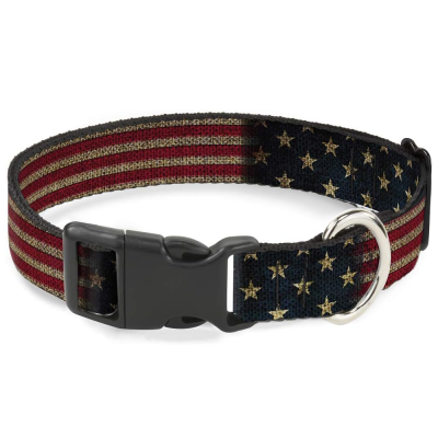 Buckle-Down Personalized Dog Collar