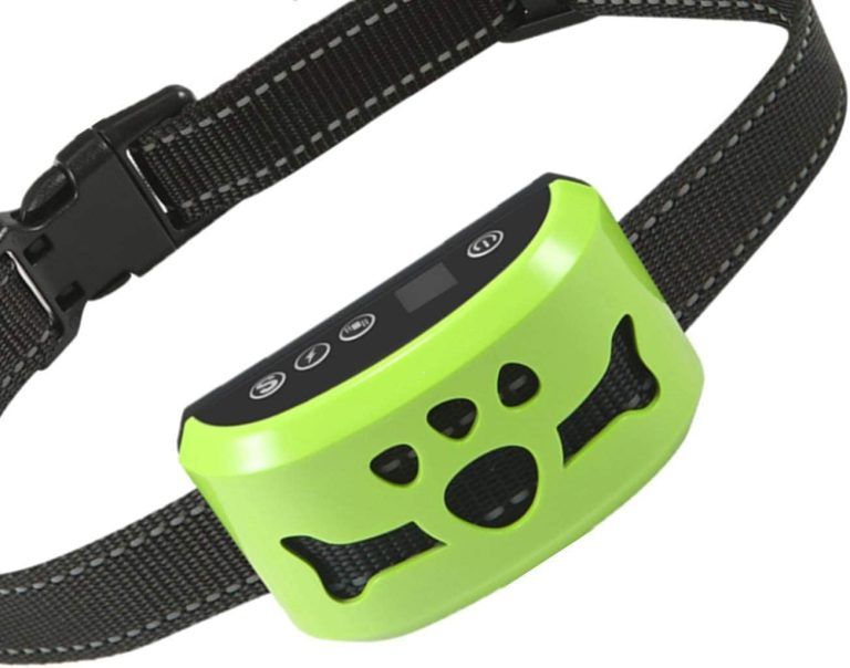 9 Best Bark Collars for Large Dogs in 2025 Reviews & Top Picks Dogster