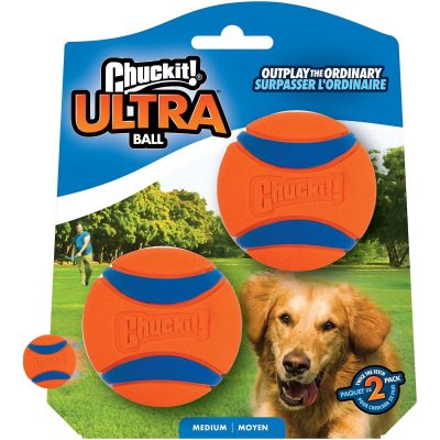 Chuckit! Rubber Ball Dog Toy