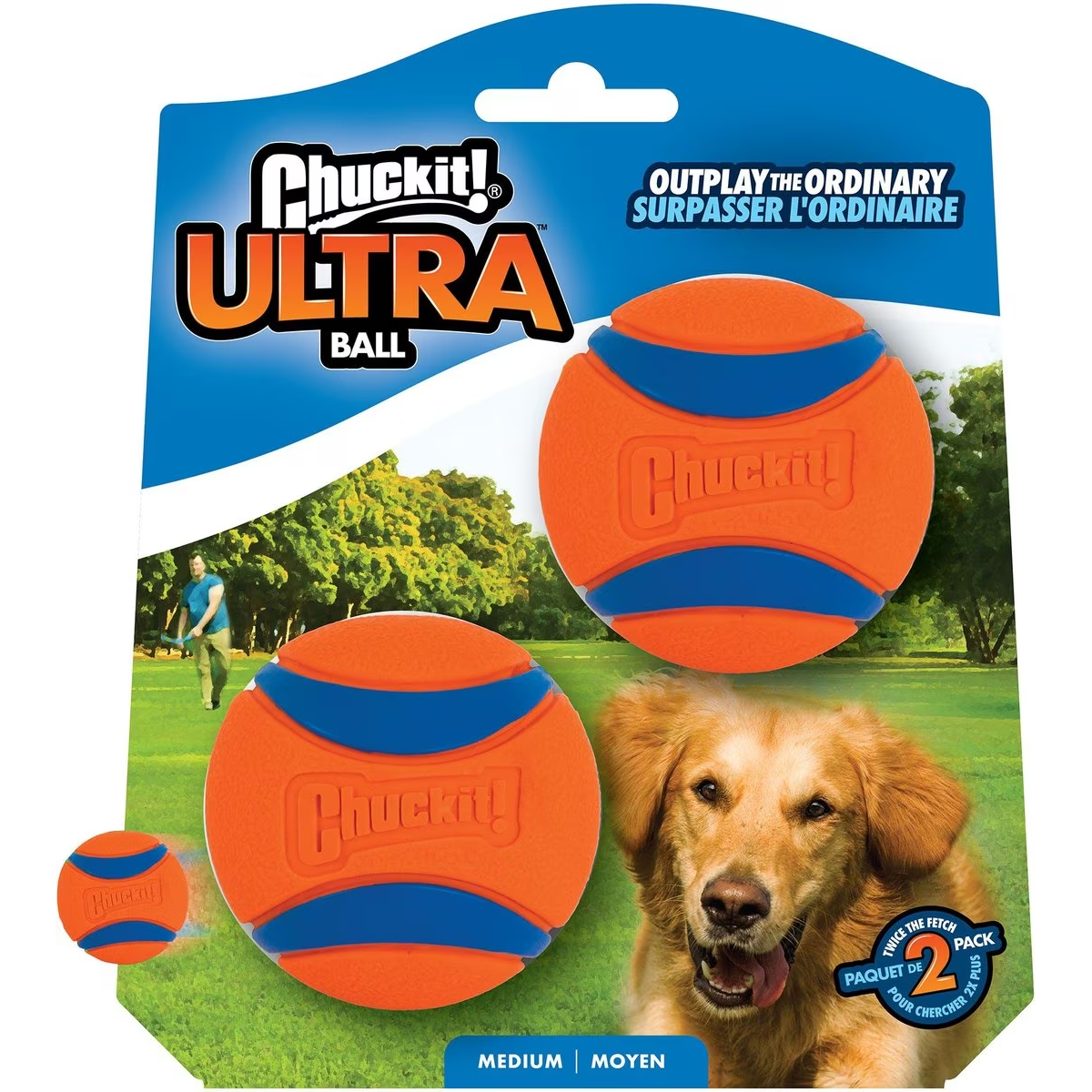 Chuckit! Ultra-Rubber Ball Dog Toy