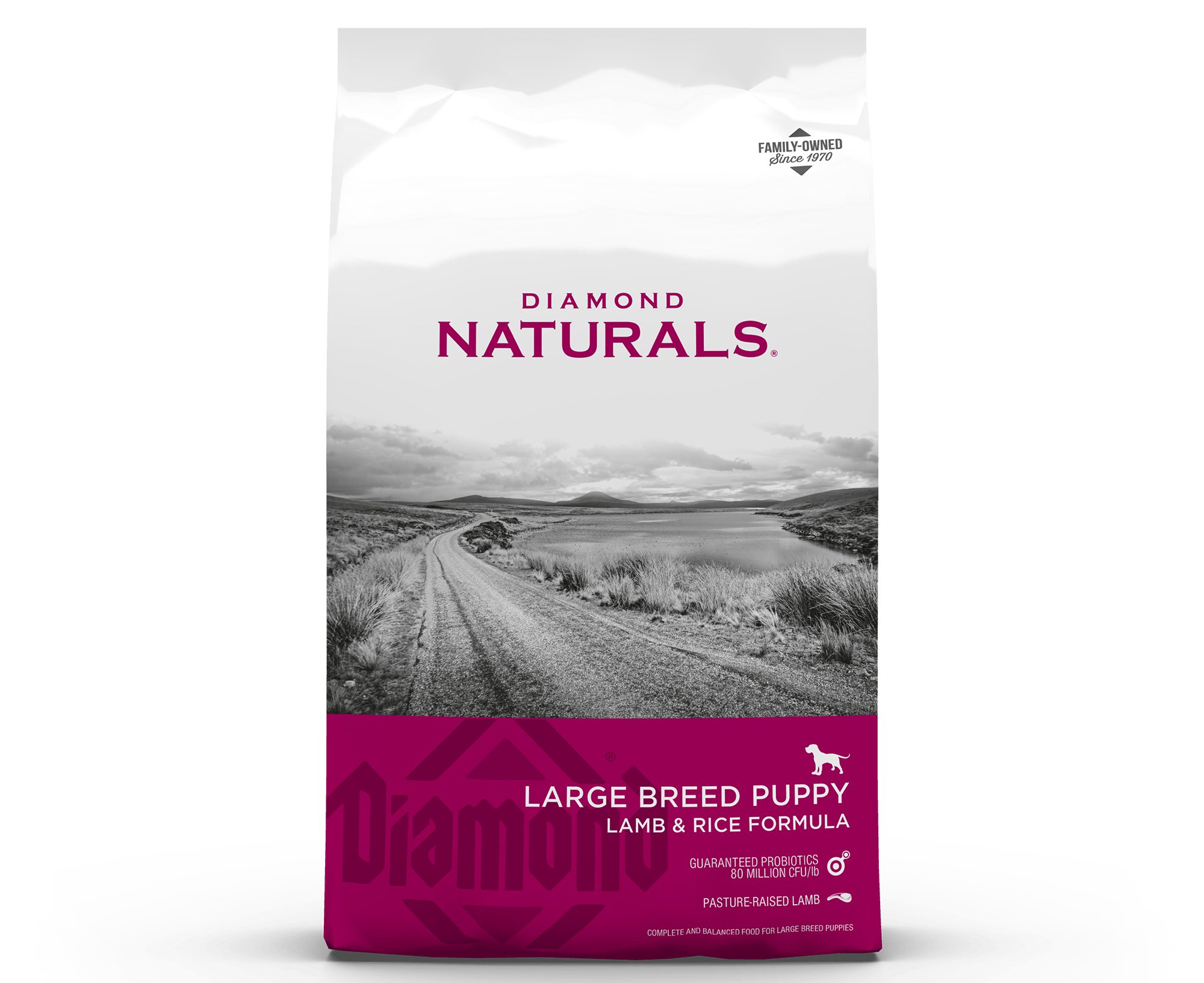 Diamond Naturals Large Breed Puppy Formula Dry Dog Food