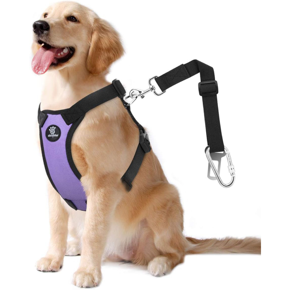 Dog Vehicle Safety Vest Harness 