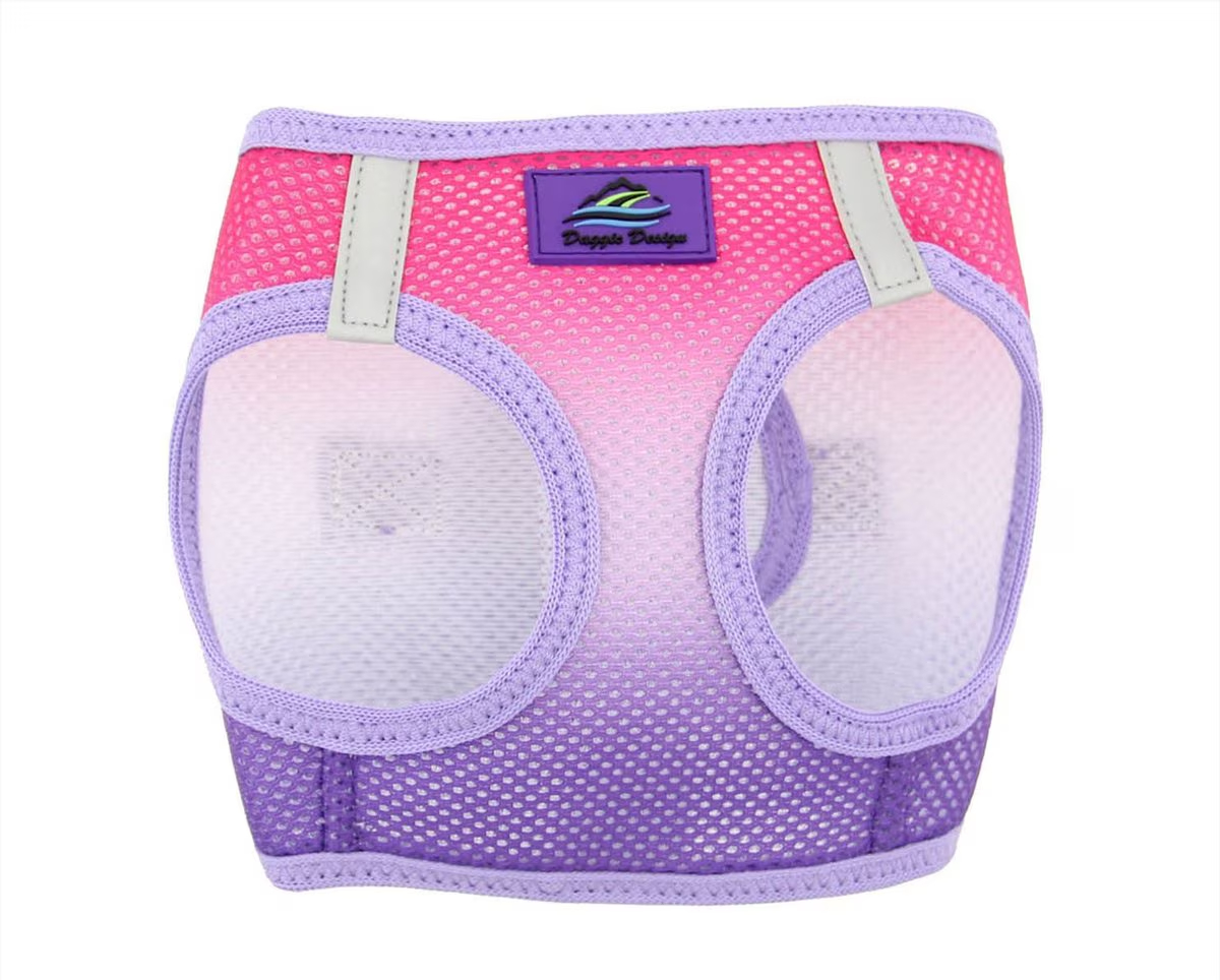 Doggie Design American River Ombre Nylon Reflective Back Clip Dog Harness
