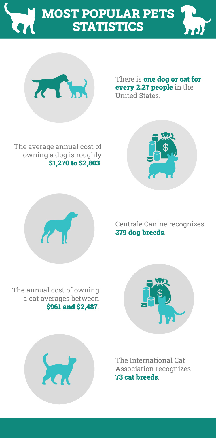Most Popular Pets Statistics