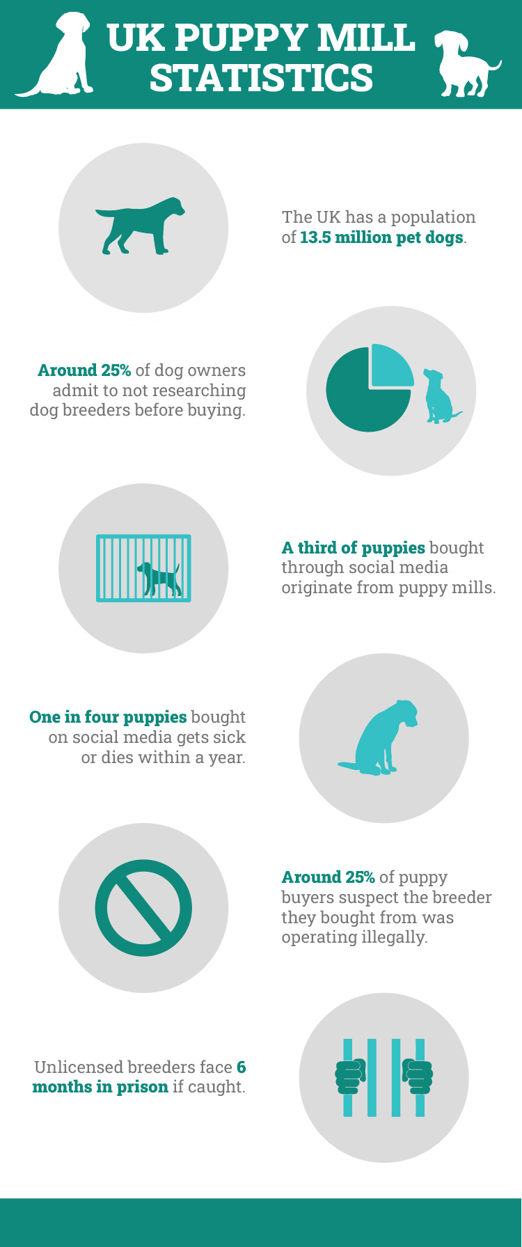 UK Puppy mill statistics
