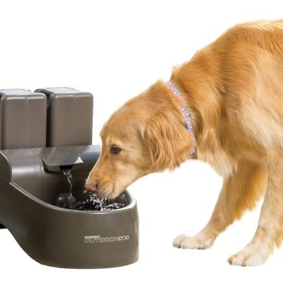 Drinkwell Outdoor Plastic Dog & Cat Fountain