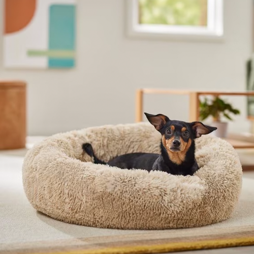 6 Best Puppy Beds in 2024 Reviews & Top Picks Dogster