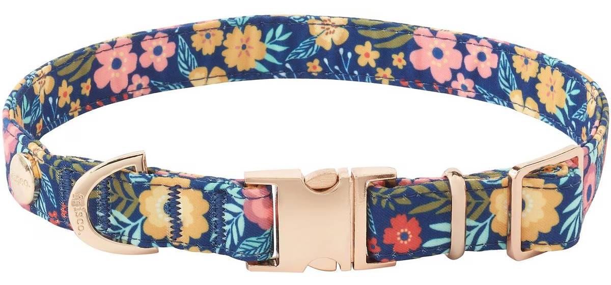 Frisco Fashion Collar