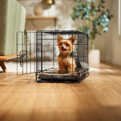 Frisco Collapsible Wire Crate
