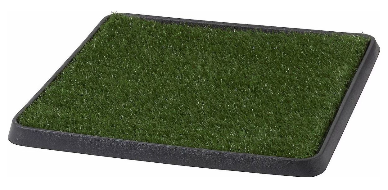Frisco Indoor Grass Potty + Replacement Pad