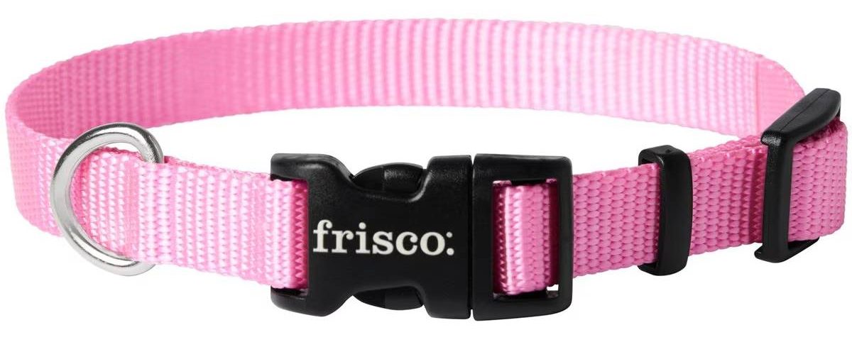 Frisco Solid Nylon Dog Collar