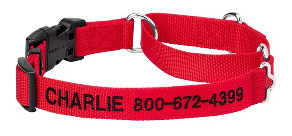 Frisco Personalized Martingale Collar