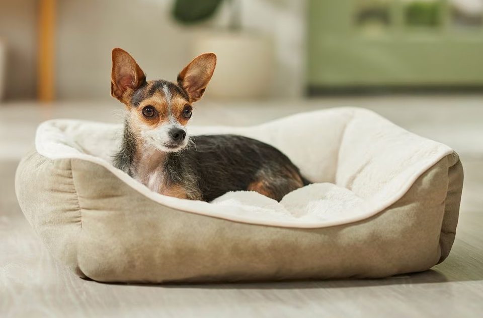 Frisco Rectangular Bolster Dog Bed