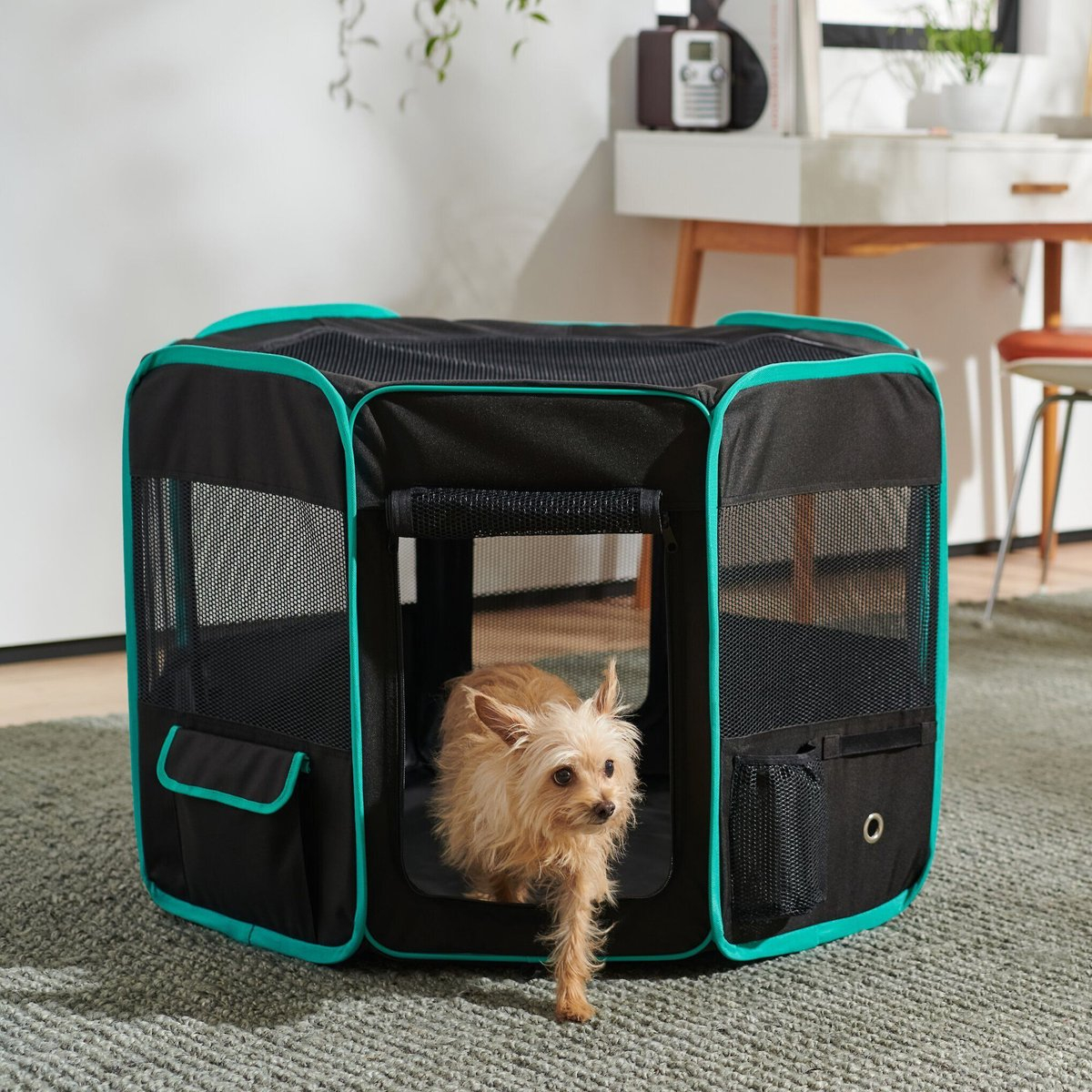 Frisco Soft-Sided Dog, Cat & Small Pet Exercise Playpen