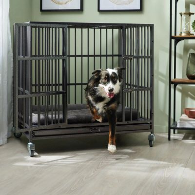 Frisco Ultimate Heavy Duty Steel Metal Single Door Dog Crate