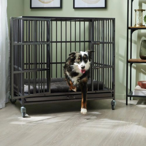 10 Best Dog Crates for Separation Anxiety in 2024 Reviews & Top Picks
