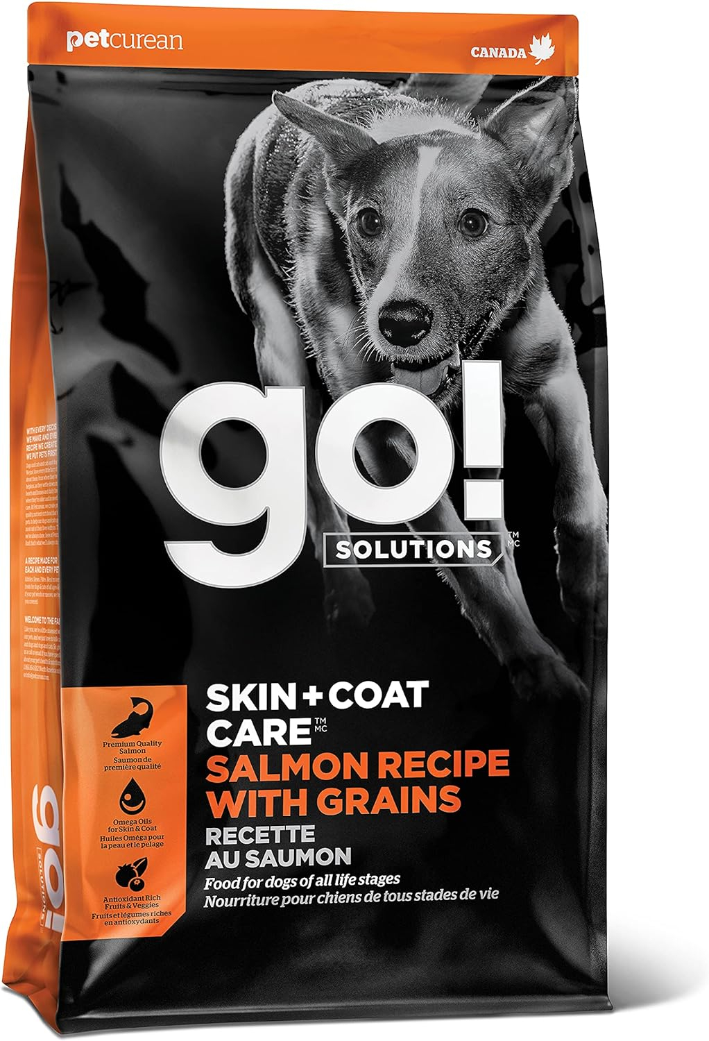 Go! Solutions Skin + Coat Care Salmon Recipe