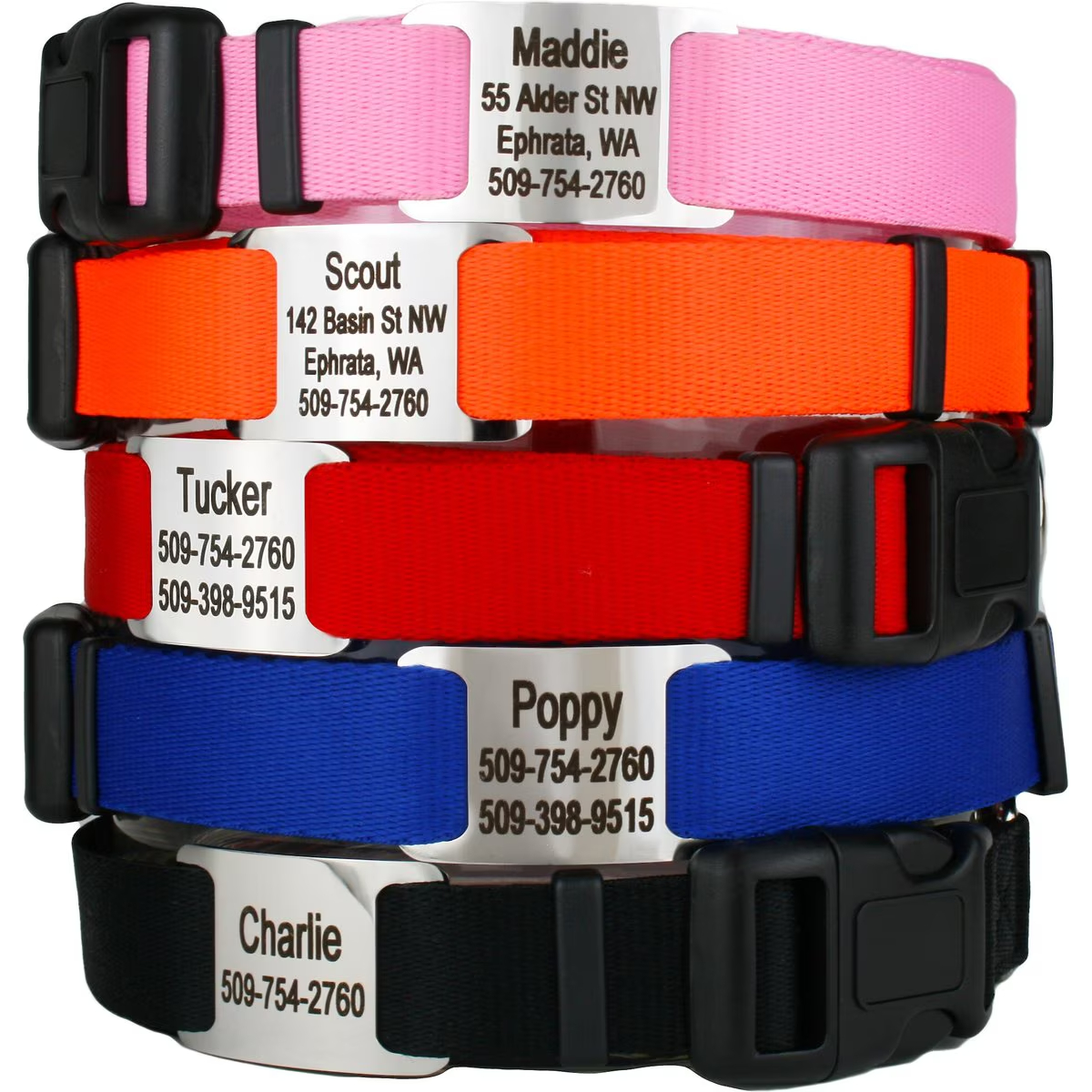 GoTags Adjustable Nameplate Personalized Dog Collar