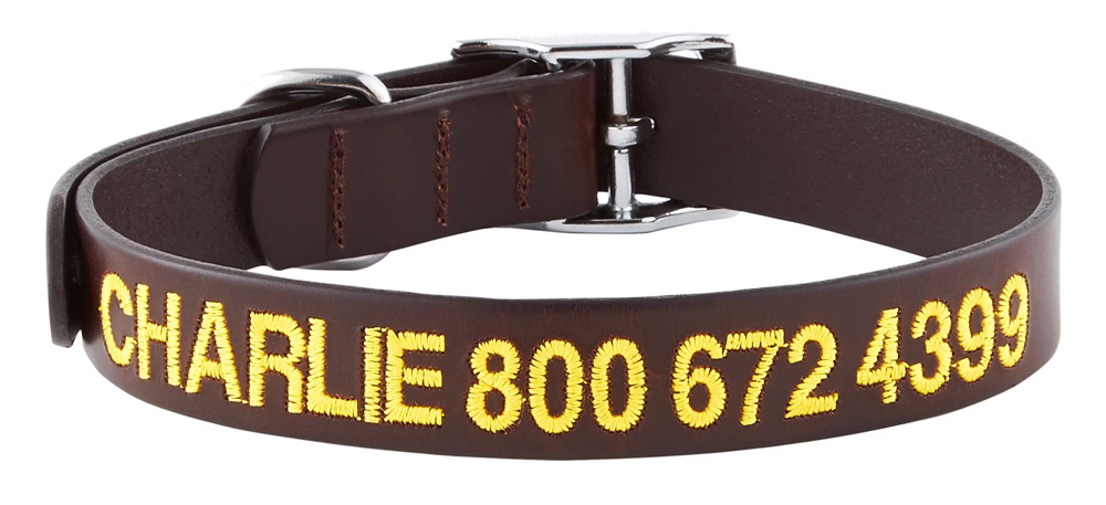 GoTags Leather Personalized Dog Collar
