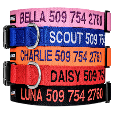 GoTags Nylon Personalized Collar