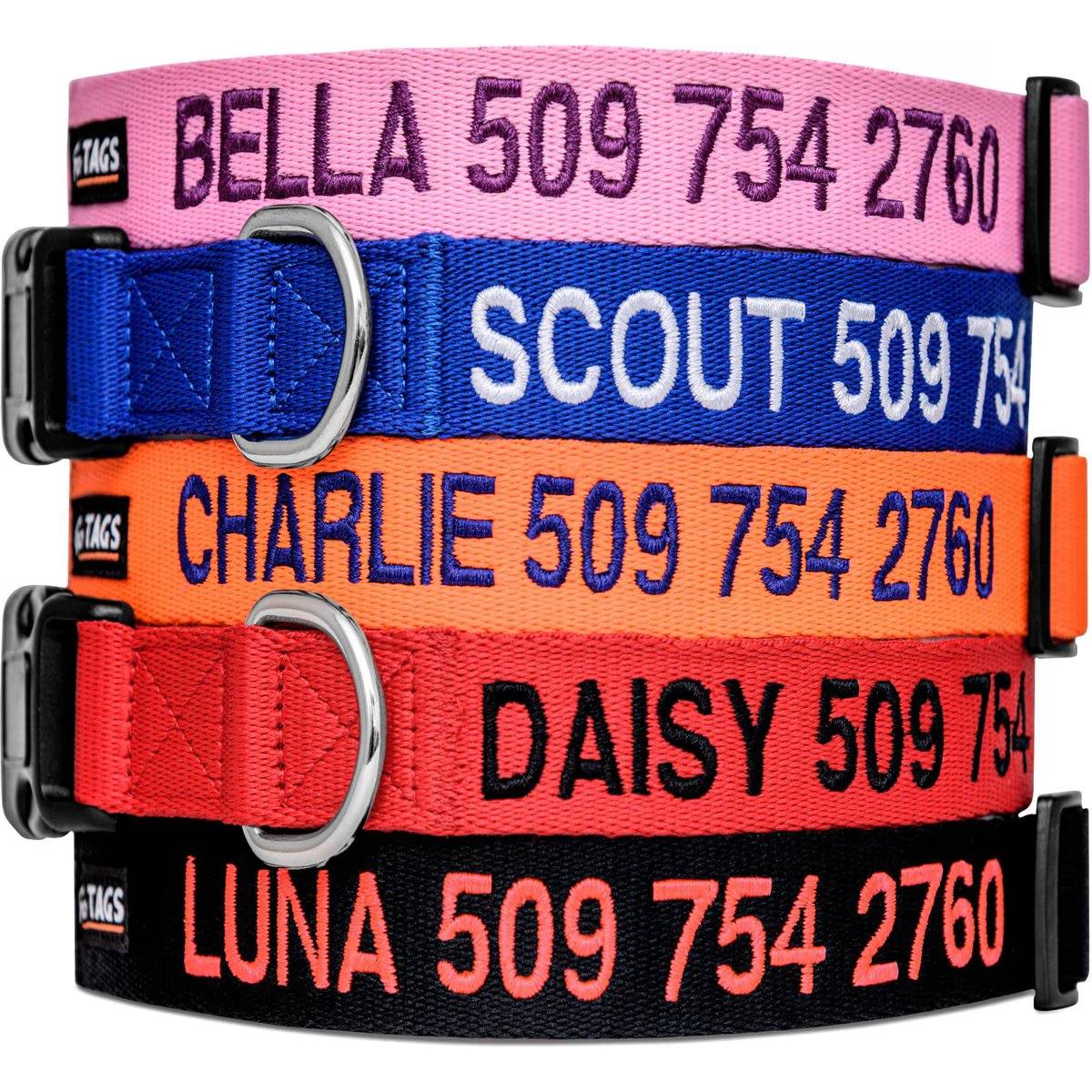 GoTags Nylon Personalized Dog Collar