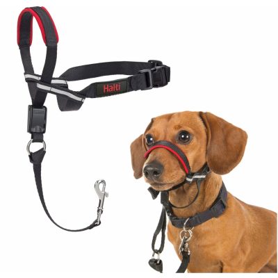 Halti OptiFit Headcollar