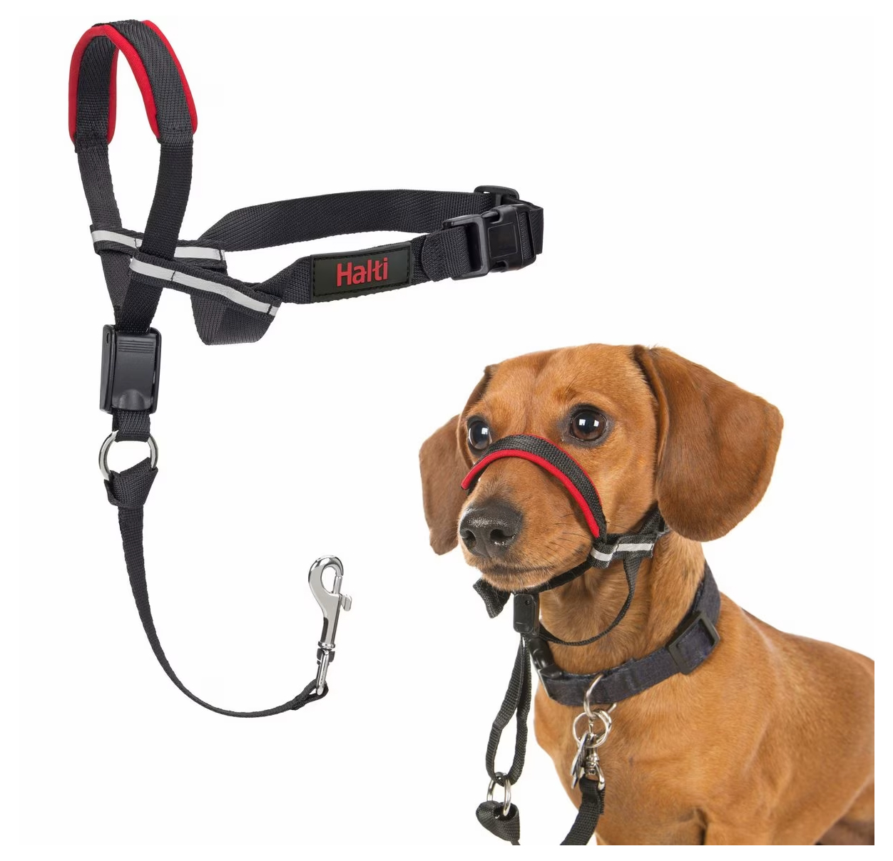 Halti OptiFit Headcollar
