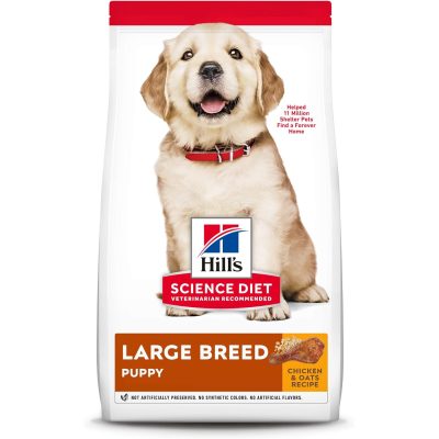 Hill’s Science Diet Large Breed Puppy