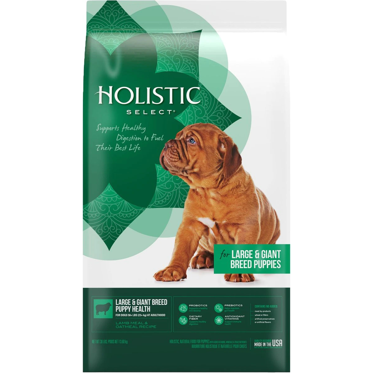 Holistic Select Large & Giant Breed Puppy Health Lamb & Oatmeal