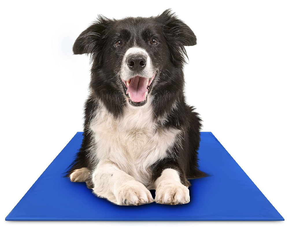 Hugs Pet Products Chillz Cooling Mat For Dogs